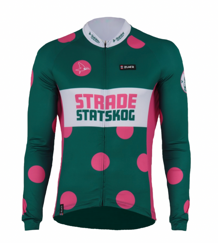 Strade Statskog